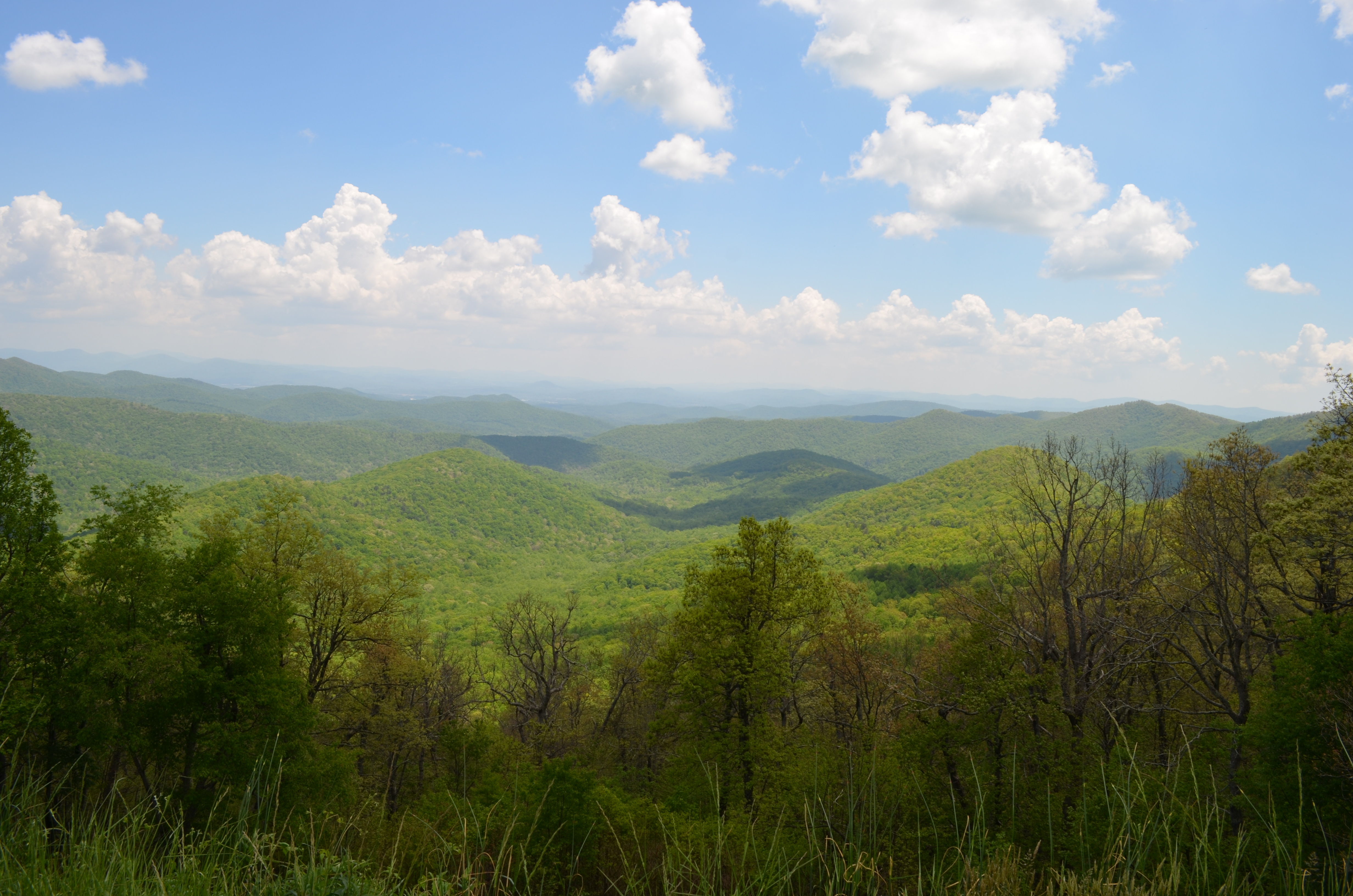 ./2015/10 - Carina's Graduation/DSC_0371.JPG